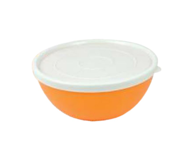 Future Plats Frost Container N0.04