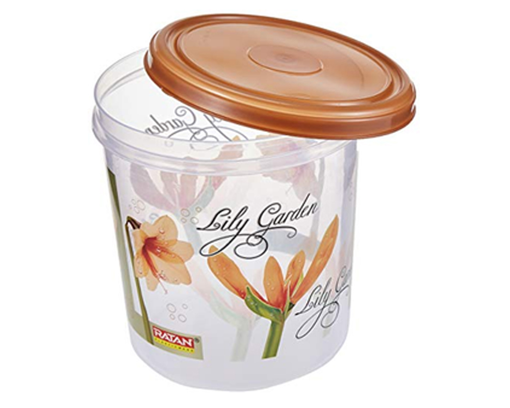 Ratan Ruby Container Fancy Ring